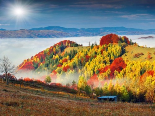 Colorful autumn landscape in the mountain village. Foggy morning